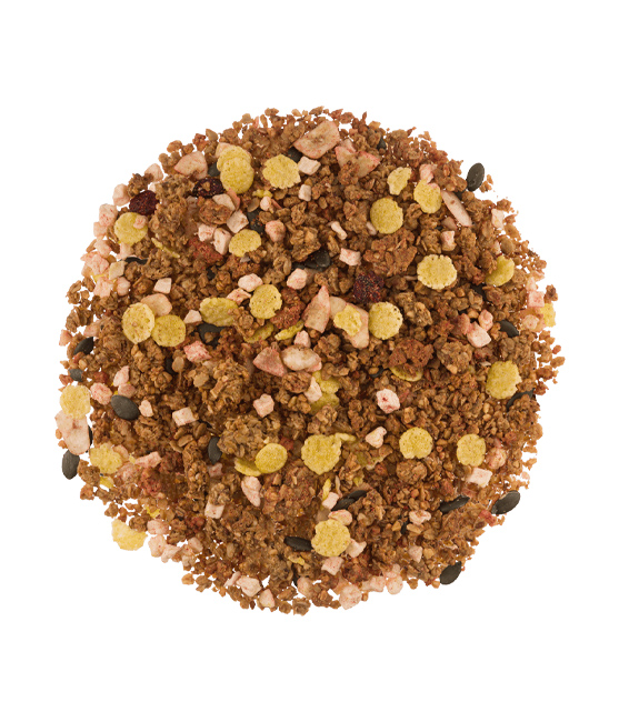granola KarmaBars Owocowa 250g
